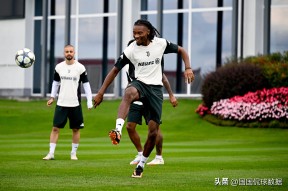 星空-今夜多特蒙德备战足总杯，刷新队史纪录细节曝光，赛场秩序良好，球探报告显示潜力的简单介绍-星空